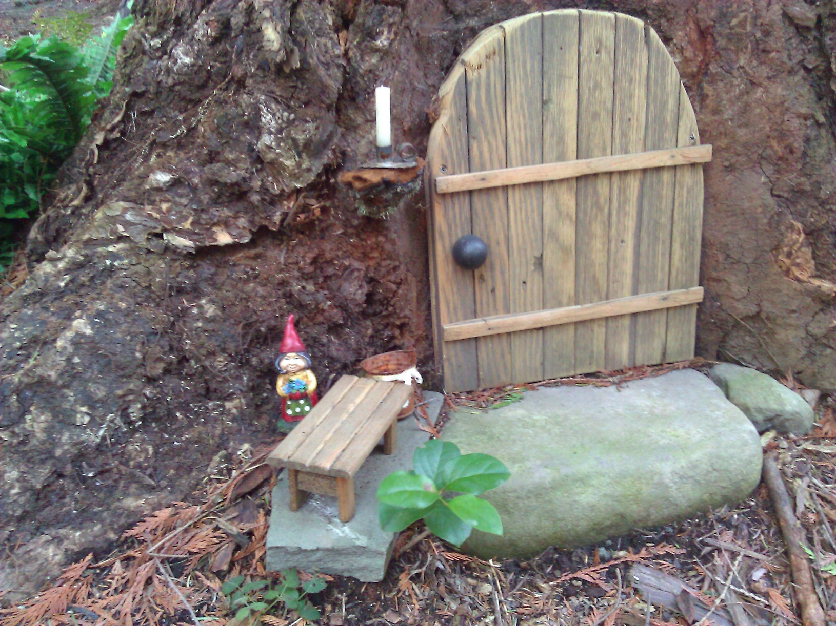 Closer inspection revealed that the fairy house was already inhabited 